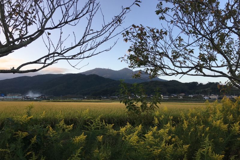 オバ記者の地元・茨城の風景