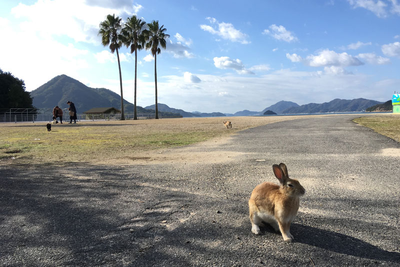 大久野島は、忠海港（忠海駅下車徒歩7分）からフェリーで約15分