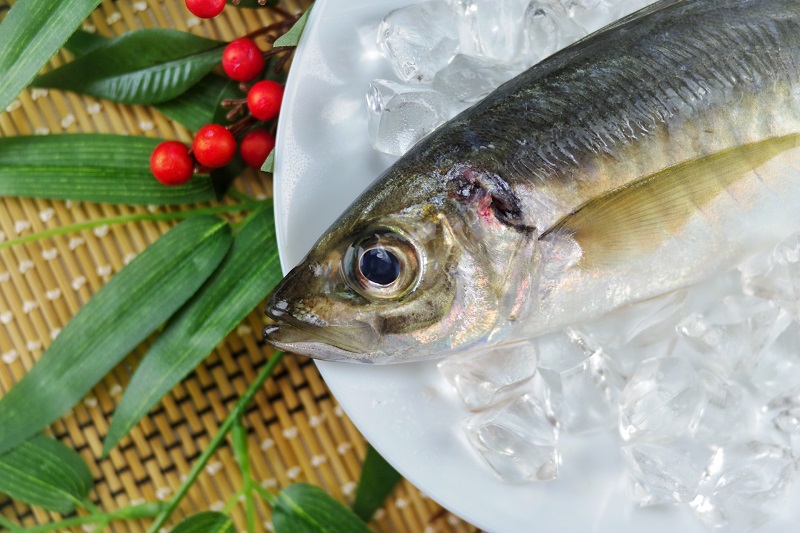 青魚はドライアイに効果的（Ph／photoAC）