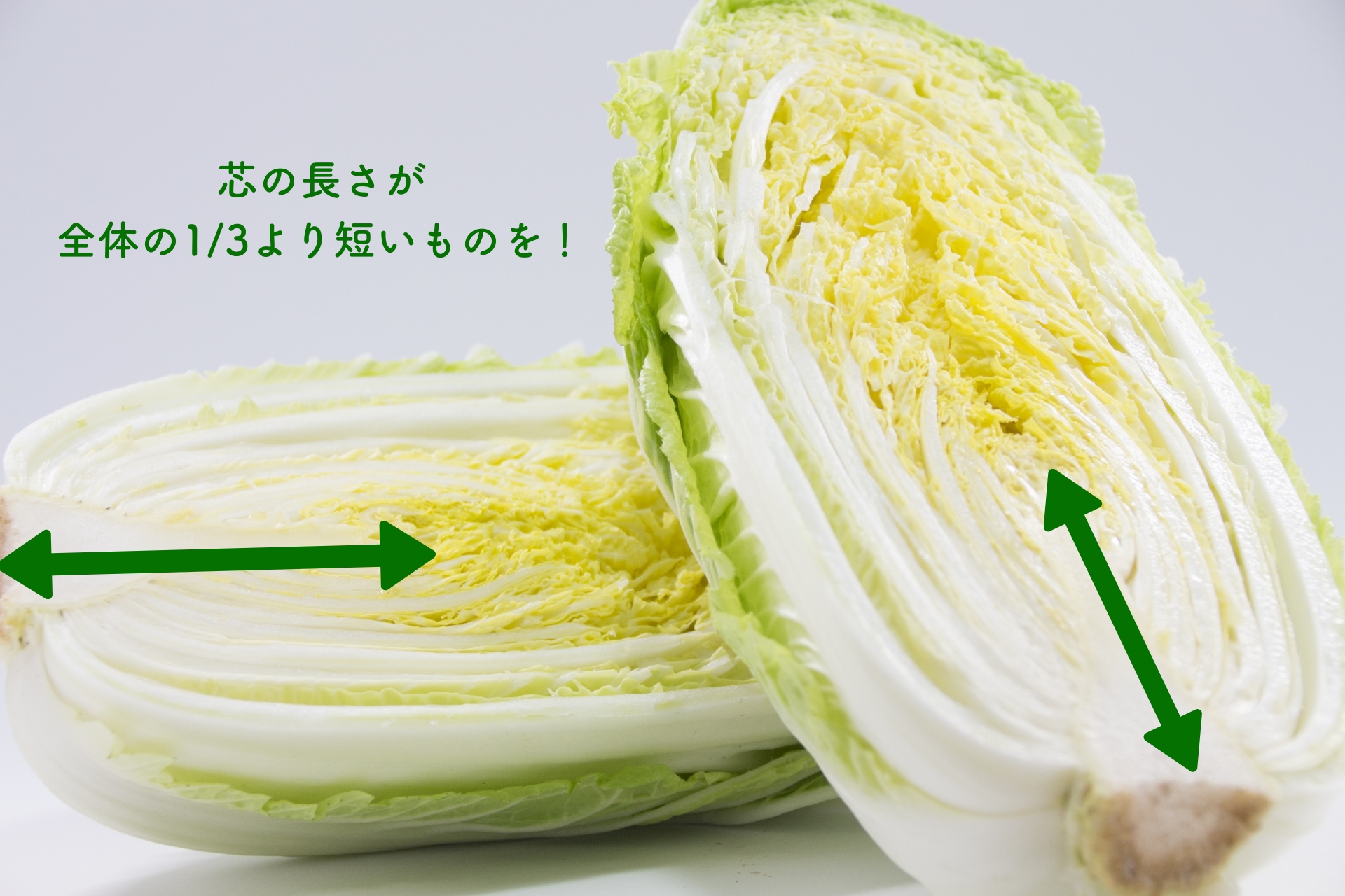 半分にカットした白菜