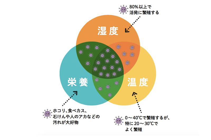 カビの原因菌は、20～30度の温度、80％以上の湿度、栄養、という3つの条件がそろうと成長し、黒カビになることのイメージ図