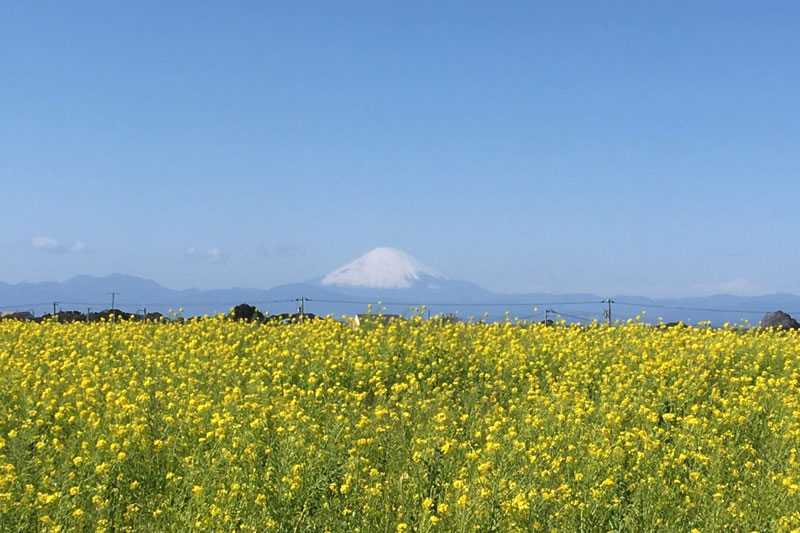 どこに行くか、何をするかは、主役も交えて相談