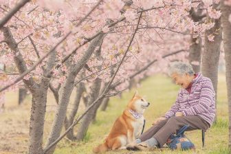 孫がおばあちゃんと愛犬を撮影！家族愛の伝わる写真が「泣ける」と話題に