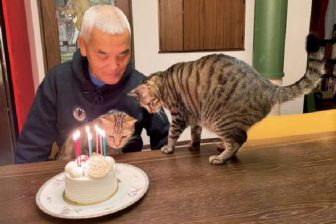 コロナ禍でますます仲良しに！動物写真家・岩合光昭さんと愛猫の日常にほっこり