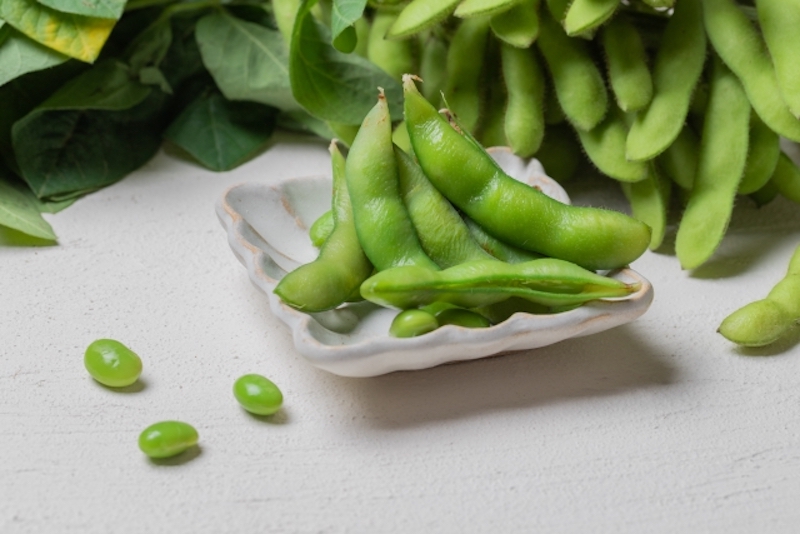 豆と野菜の両方の特徴をもっているのが魅力の枝豆