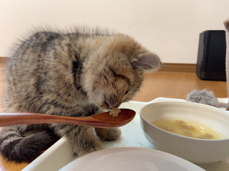 ニオイを確認してからいざ実食！