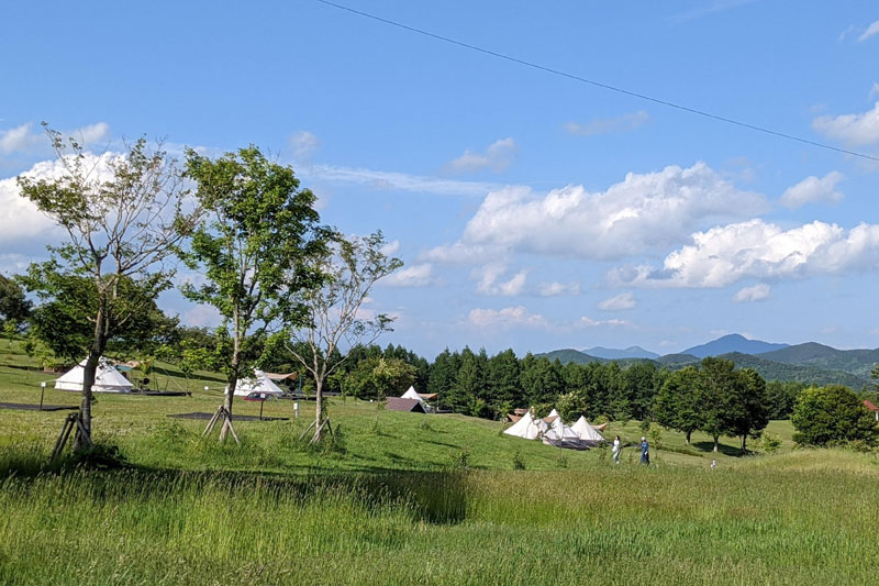 夏のスキー場は楽しみ方もいろいろ