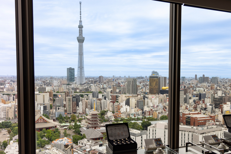 東京スカイツリーの全景が楽しめる