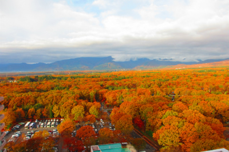 秋の絶景をもとめて旅をするのもいい（栃木県那須高原の紅葉、例年9月末から11月末まで楽しめる）