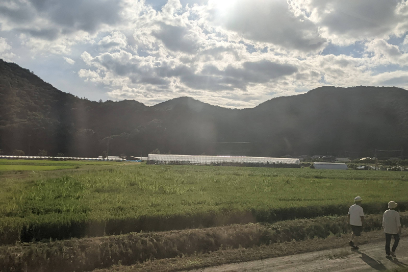 のんびりとした車窓の景色に癒される