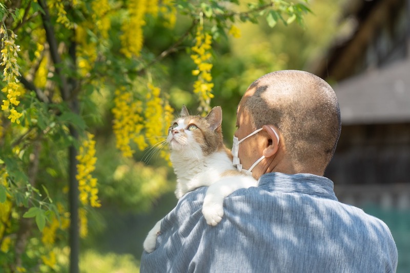 ミー子は母になっても住職に甘えたい？