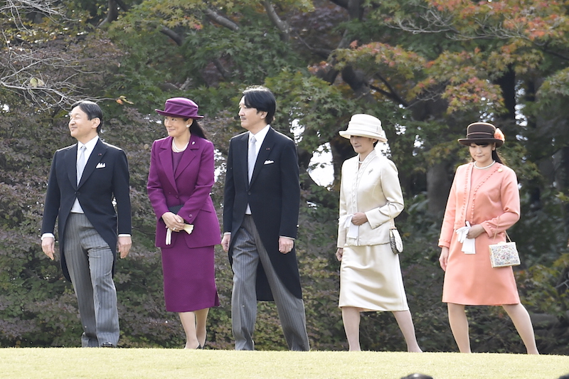 遠目からでもボルドーカラーが華やかさを放つ（2015年11月12日、Ph／JMPA）