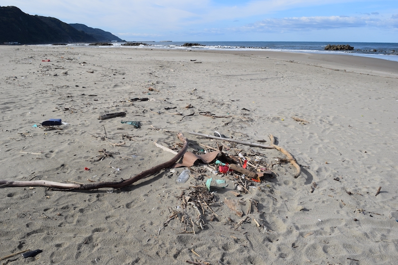 海洋プラスチックごみ問題、地球温暖化などの理解促進のために有料化されたレジ袋（Ph／photoAC）