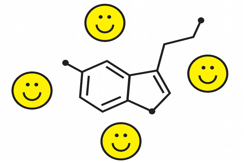 セロトニンのイメージラスト