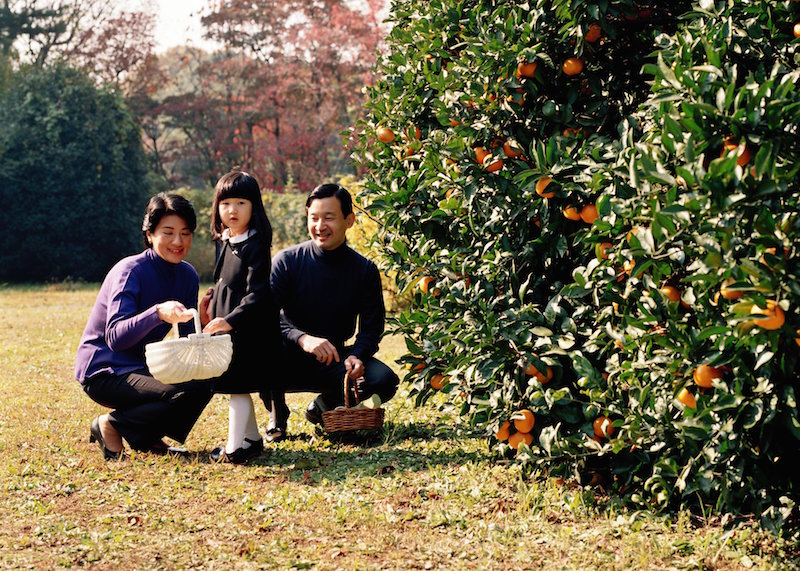 2005年11月、東宮御所で行った愛子さまの4歳の誕生日の記念撮影天皇皇后両陛下と愛子さま