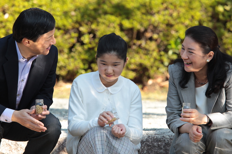 鯉を見て雅子さまは「大きいね」と愛子さまに話しかけられていた（2012年11月7日、Ph／横田紋子）