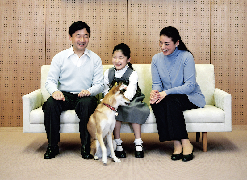 愛犬と愛猫と戯れる愛子さま（2010年12月、Ph／宮内庁提供）