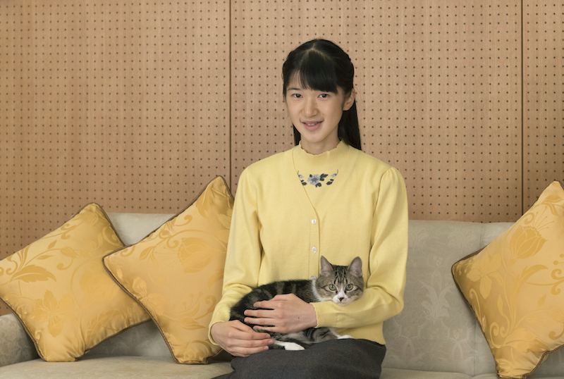 愛猫を大事そうにひざに抱える愛子さま（2016年11月23日、Ph／宮内庁提供）