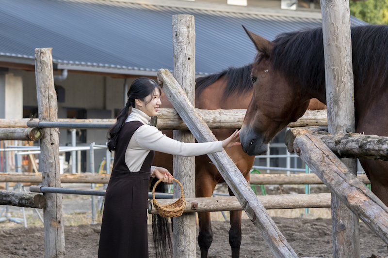 馬に触れられる愛子さま（2022年11月21日、Ph／宮内庁提供）