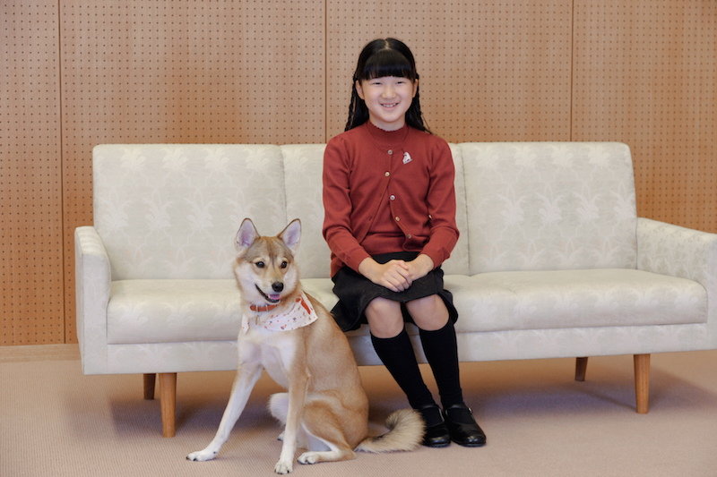 愛犬・由莉と記念撮影をされた愛子さま（2011年11月、Ph／宮内庁提供）