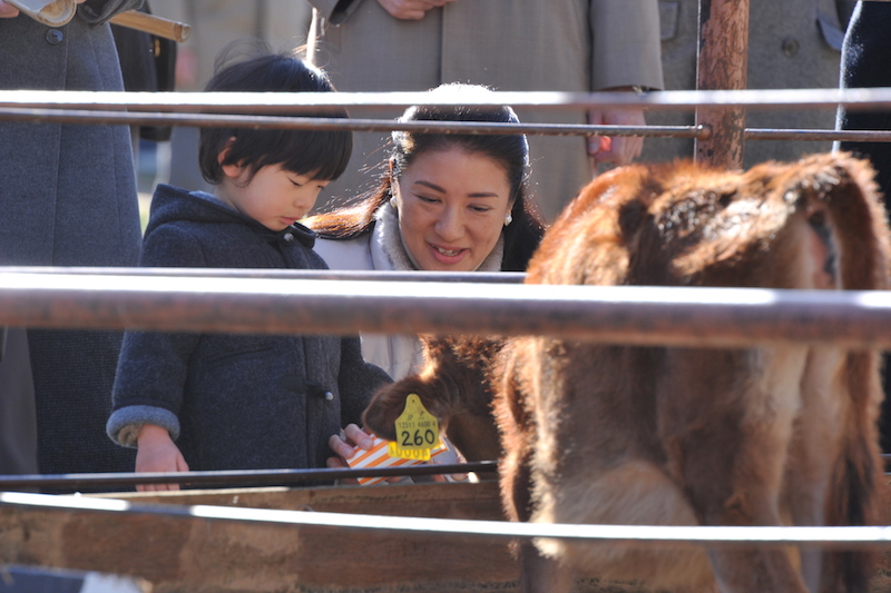 悠仁さまと一緒に餌やりをされる雅子さま（2009年12月9日、Ph／JMPA）