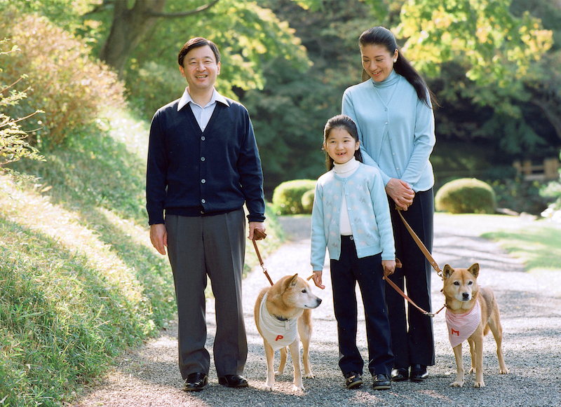 2008年11月、もうすぐ7歳になる愛子さまは、天皇陛下（当時は皇太子）と雅子さまとともに、13歳になる愛犬のピッピとまりを連れて赤坂御用地を散歩