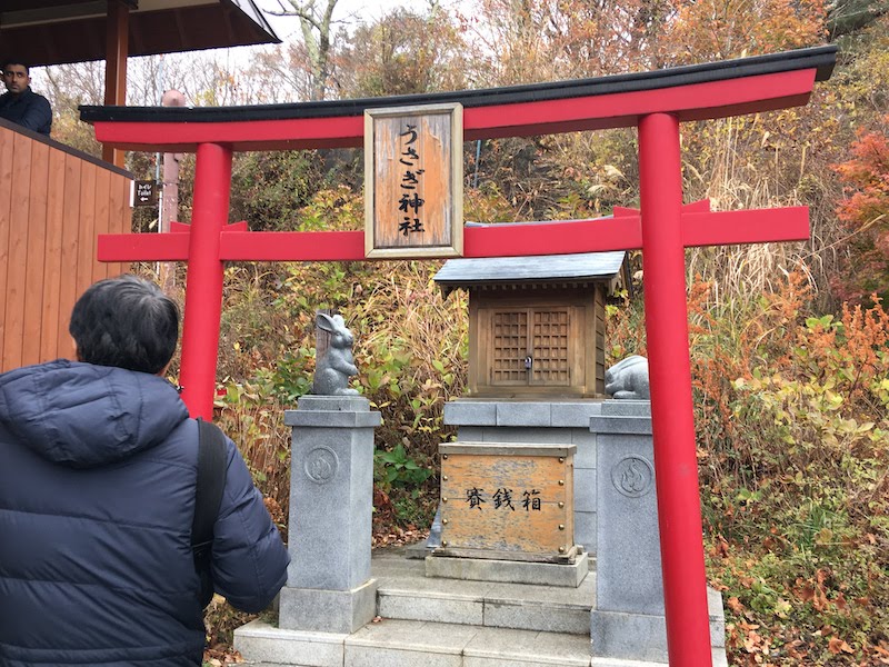 うさぎ神社（～河口湖～　富士山パノラマロープウェイ：山梨県）