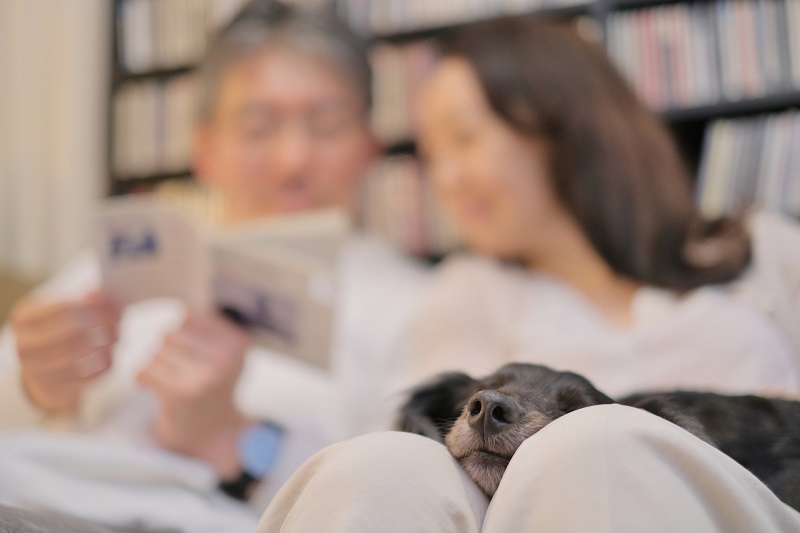 別居婚ごっこ効果でお互いに優しくなれたという例も（Ph／photoAC）