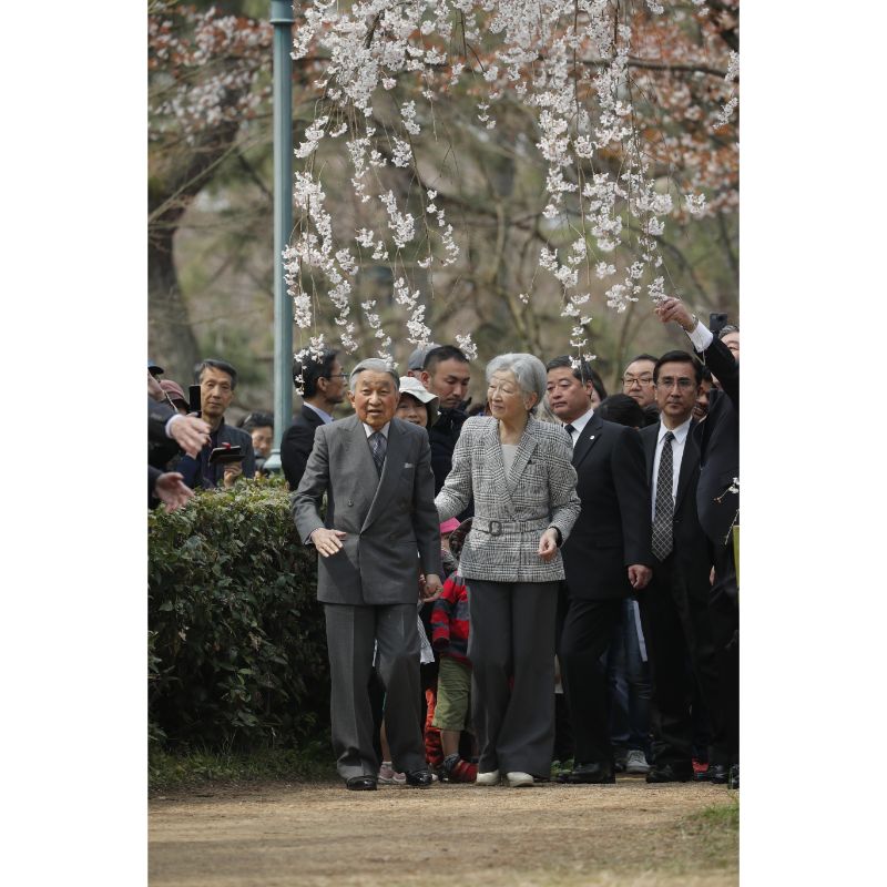 ゆっくり鑑賞された（2019年4月7日、Ph／JMPA）