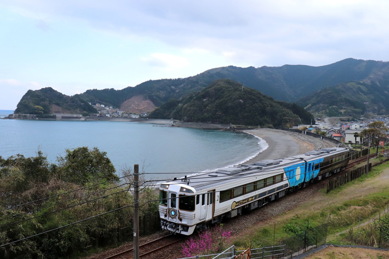 海を眺める観光列車で巡るのもおすすめ（志国土佐　時代（トキ）の夜明けのものがたり／JR四国）