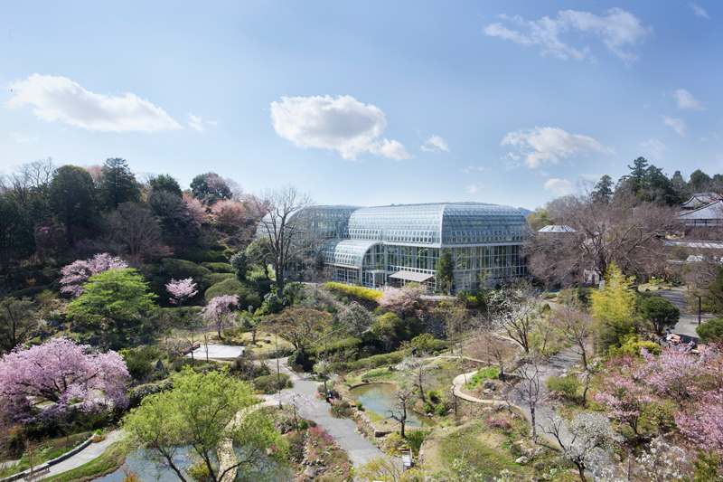 南園を望む。奥に見えるのは温室（高知県立牧野植物園）