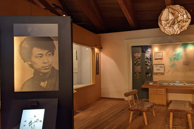 牧野富太郎記念館　展示室（高知県立牧野植物園）