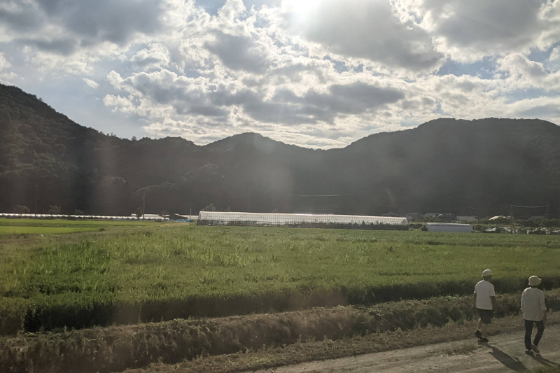 風景がゆっくり流れるので、旅情もある普通列車の旅