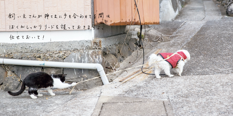 もうちょっとの辛抱！　頑張って！