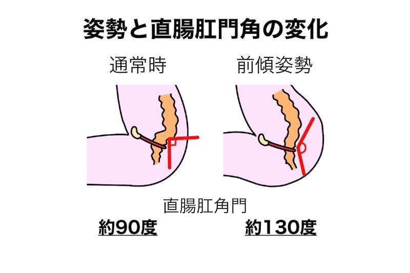 トイレでの姿勢を意識してみて