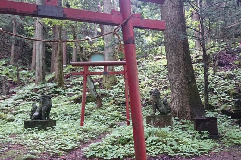 最後までたどり着けるか心配だった山道