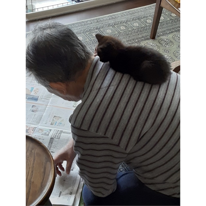 親父と猫