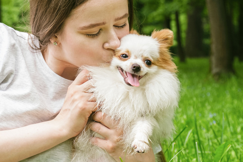 かわいい犬や猫とのキスは“危険行為”!?（Ph／イメージマート）