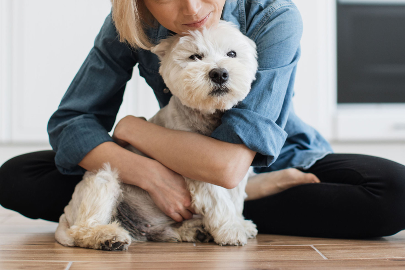 犬と女性