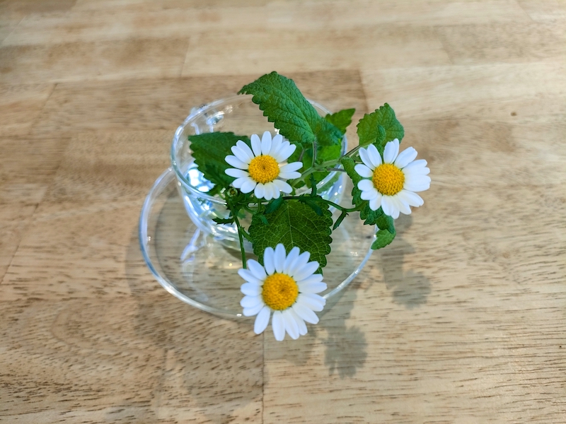 保冷剤の中身には保水効果があるので花を生けることもできる（Ph／photoAC）