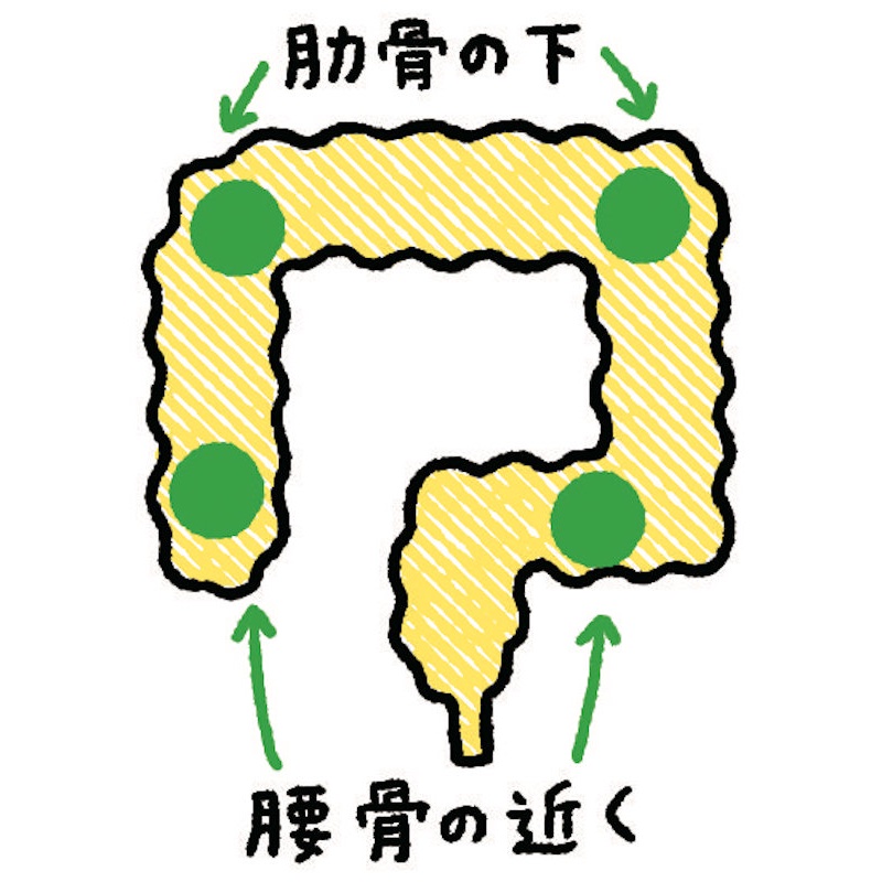 便がたまって腸の動きが滞りがちな四隅（Ph／『お医者さんがすすめるバナナの「朝食化」ダイエット』（アスコム）より）