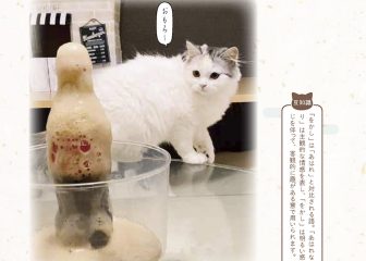 「をかし」「すべなし」「ながながし」…古語の世界に溶け込む猫たちの豊かな表情