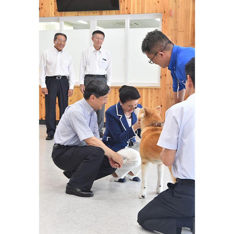 秋田犬を撫でられる雅子さま（2019年9月7日、Ph／JMPA）