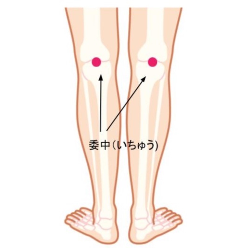 「委中」の位置を図解