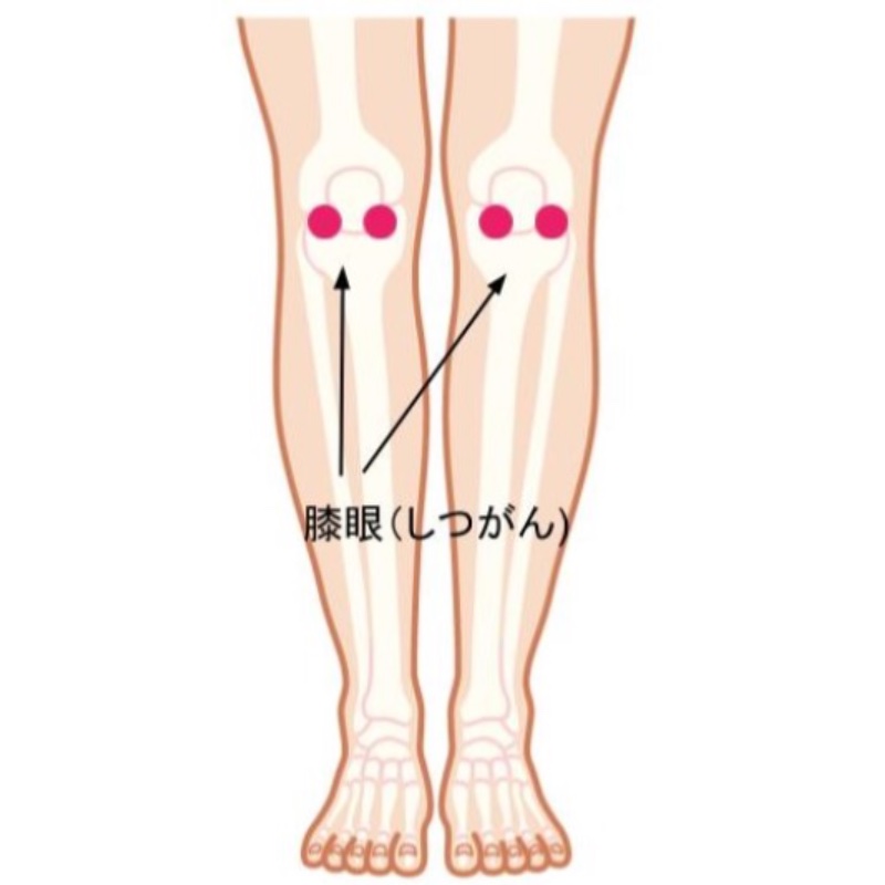 「膝眼」の位置を図解