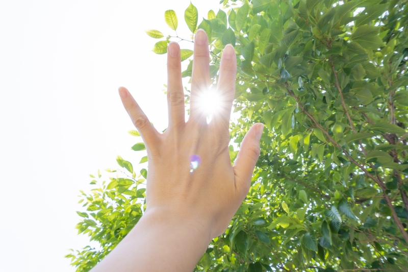 太陽に手を伸ばしている