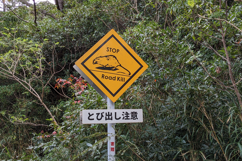 「STOP　Road　Kill」の注意喚起の看板