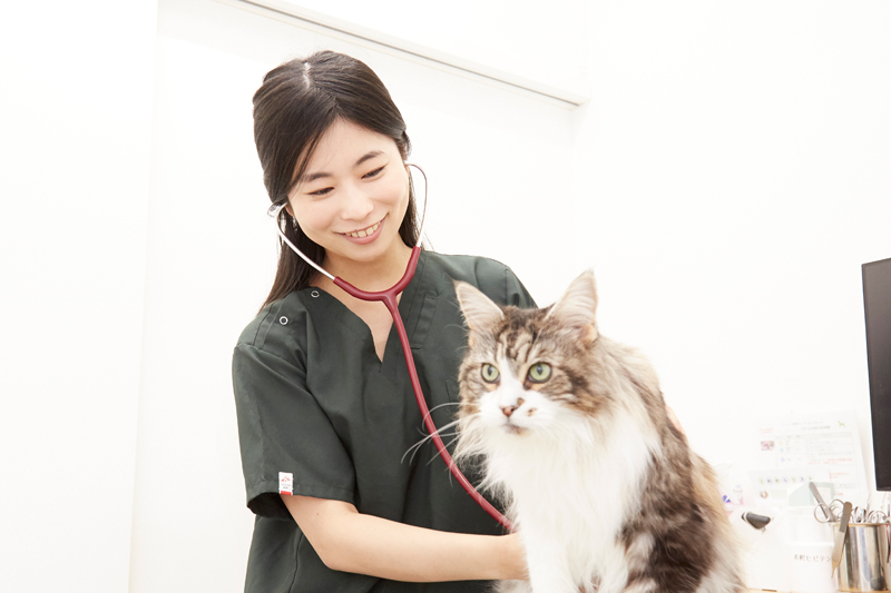 獣医師・内山莉音さん