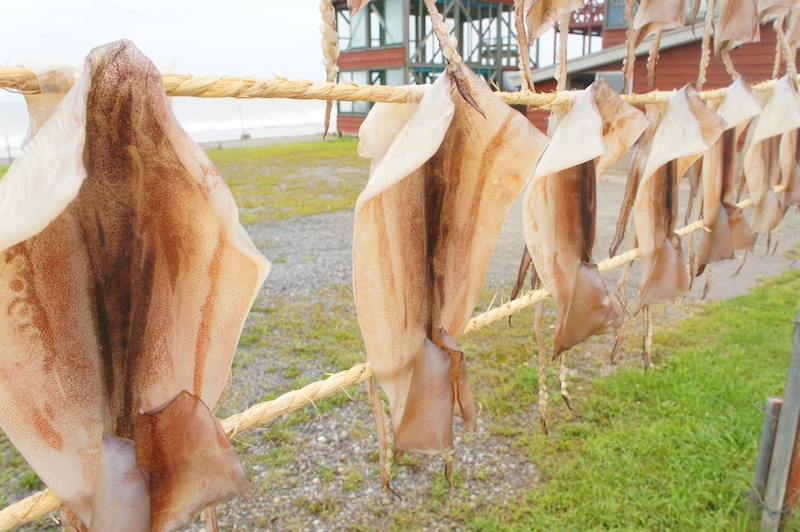 スルメのようにポキッと折れない、生いかのような柔軟性を（Ph／photoAC）