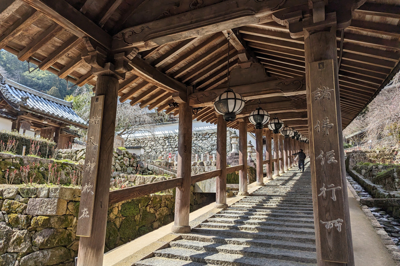 長谷寺　登廊（のぼりろう）。4月中旬からGWにかけては「ぼたん」が登廊の両側に咲き誇る